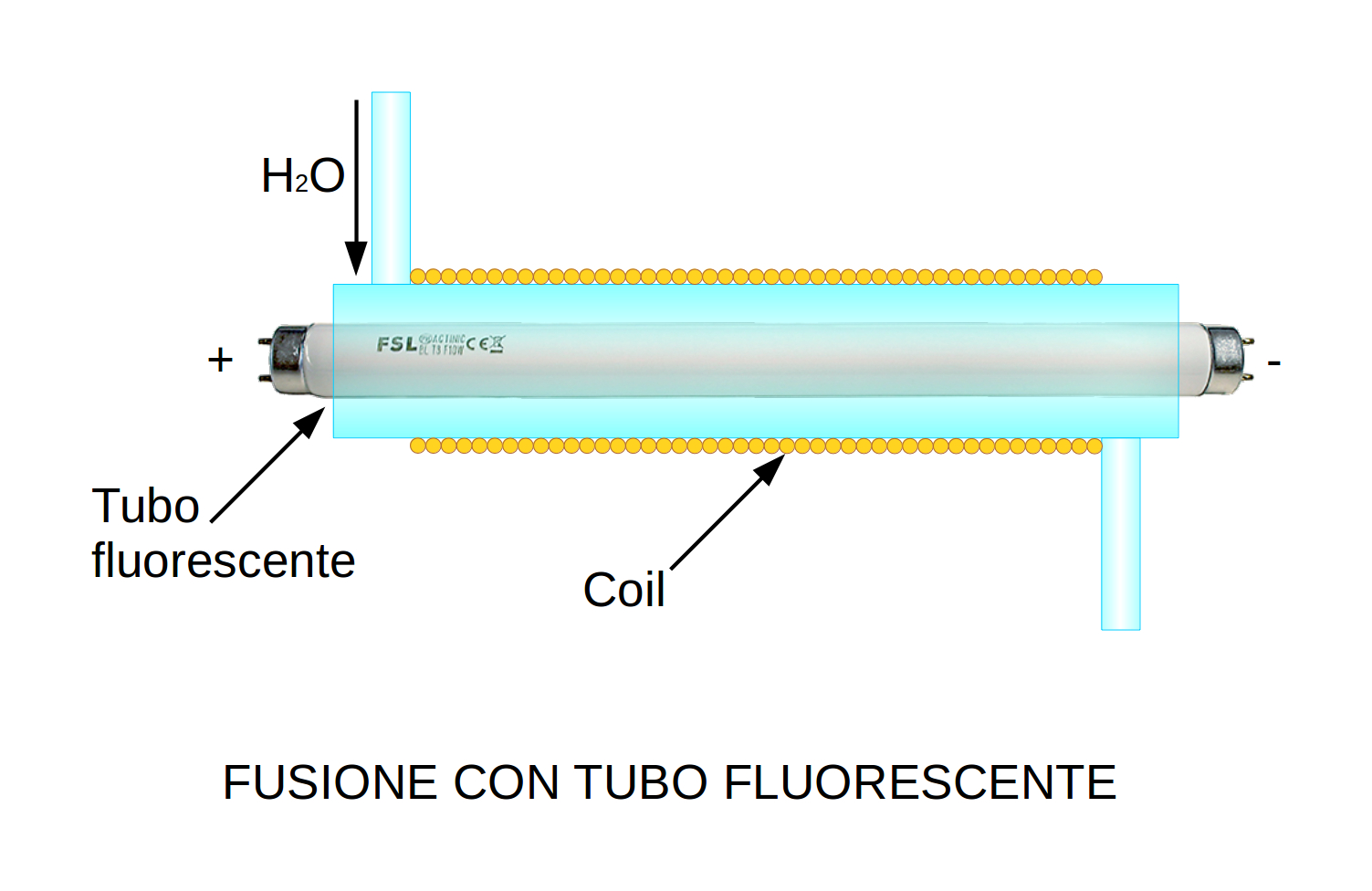 ForumEA/T/Fusione con tubo fluorescente.jpeg